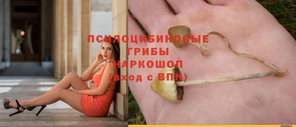 Альфа ПВП Алзамай