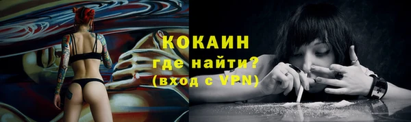стаф Покачи