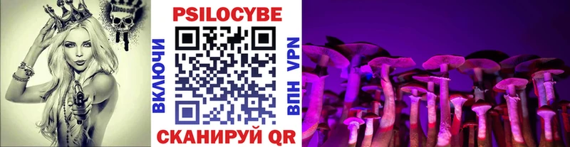 Псилоцибиновые грибы мицелий  что такое   Благодарный 